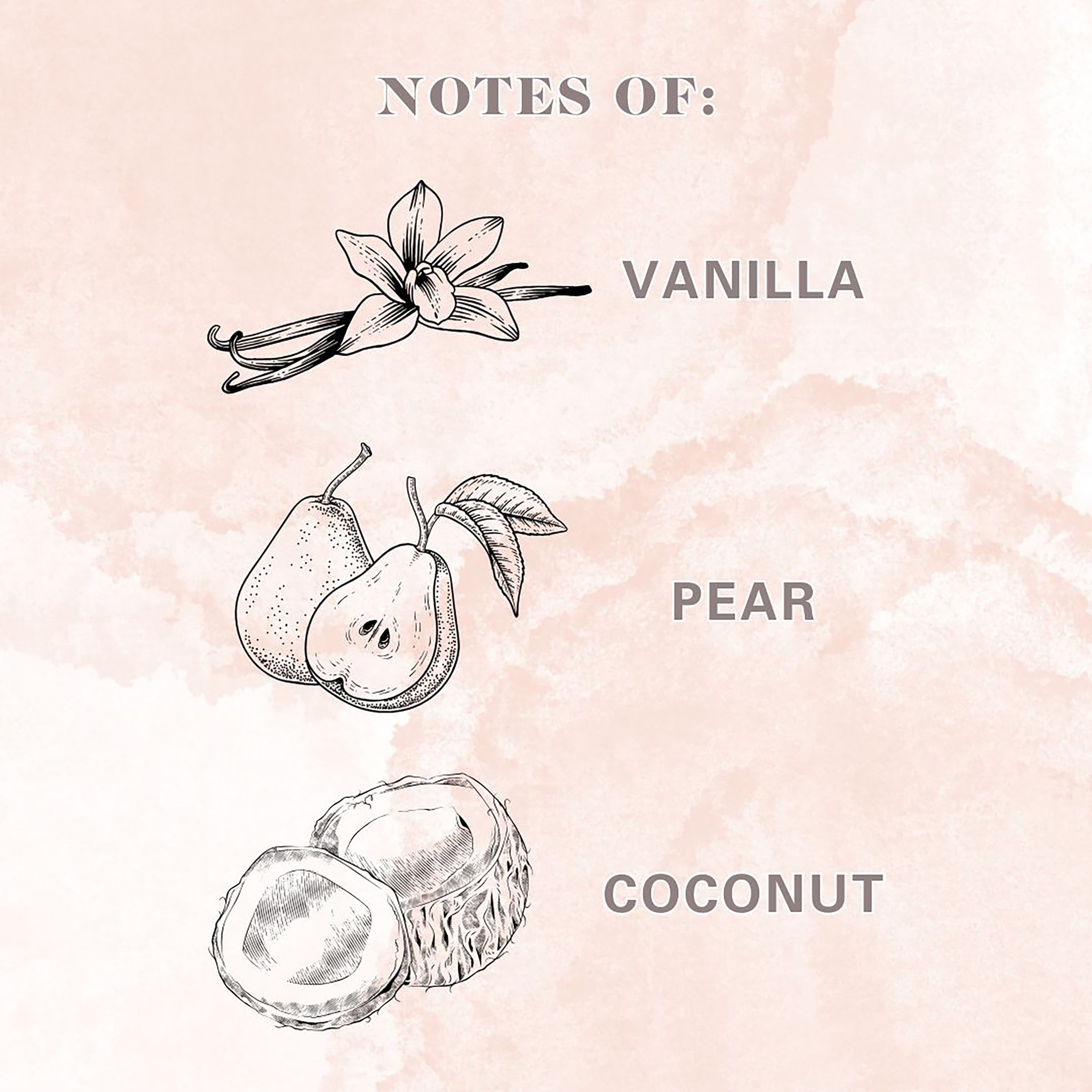 ( + Pear + Coconut) Scented 2-Wick Spa Jar Candle 15oz. - Image 5